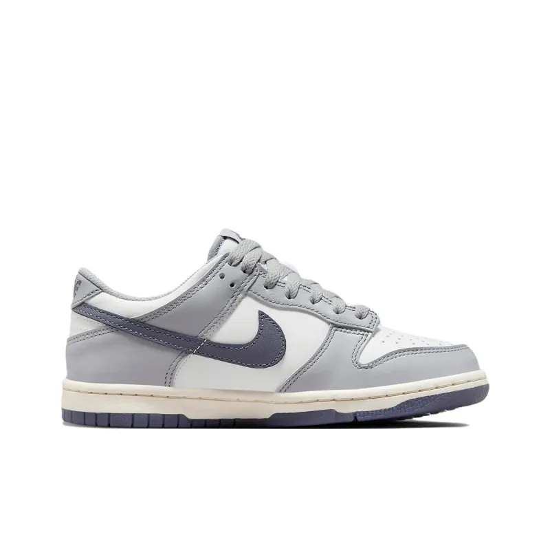 Nike Dunk Low Platinum Tint Light Carbon GS-1