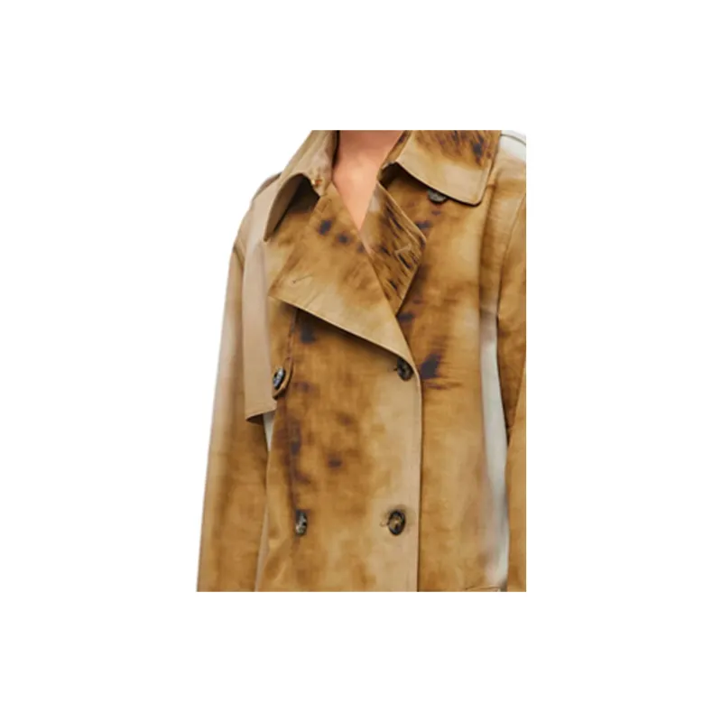 LOEWE Blurred Print Trench Coat 'Beige/Multicolor'-2
