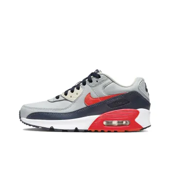 Nike Air Max 90 Leather GS 'Light Smoke Bright Crimson'