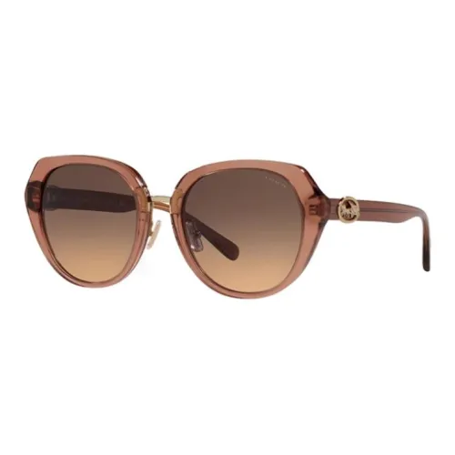 COACH Plate Frame Irregular Shape Sunglasses Women's Brown