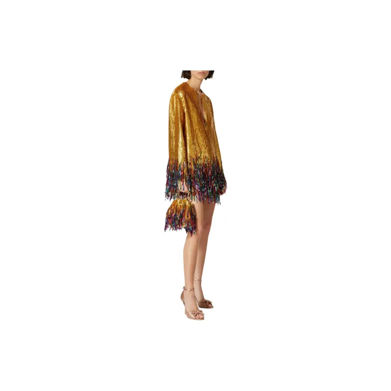 Valentino Short Embroidered Organza Dress Long-Sleeved Dresses Women's Gold-2