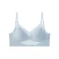 1 Pack (Blue)