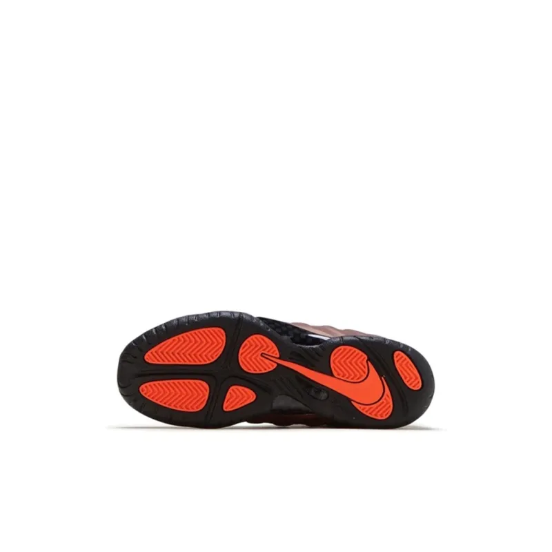 Nike Air Foamposite Pro Color Shift PS-5