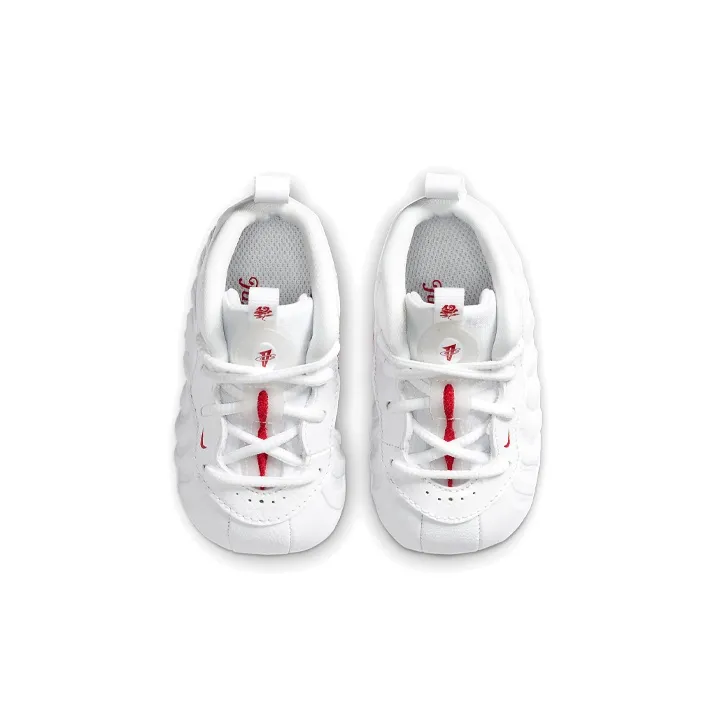 Nike Air Foamposite One Takeout Bag I-3
