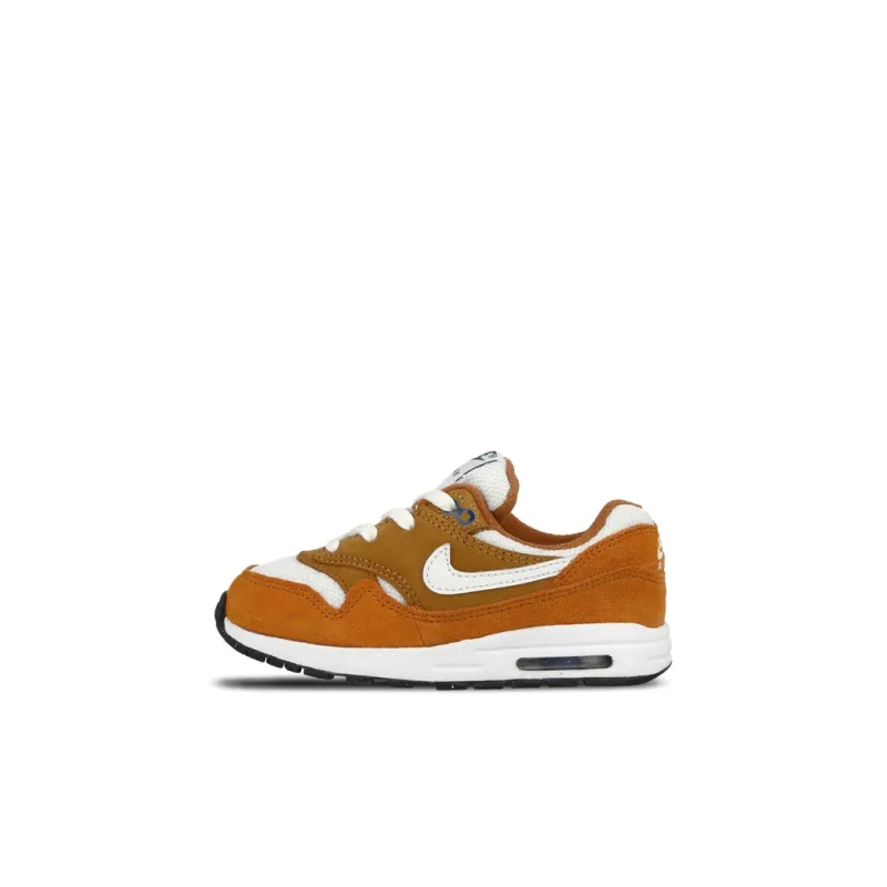 Nike Air Max 1 Curry 2018 TD-0