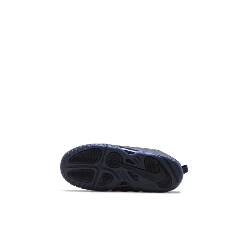 Nike Air Foamposite One Anthracite 2020 TD-3