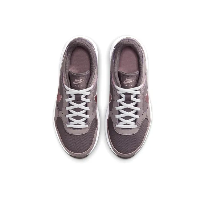 Nike Air Max SC 'Violet Ore' GS-3