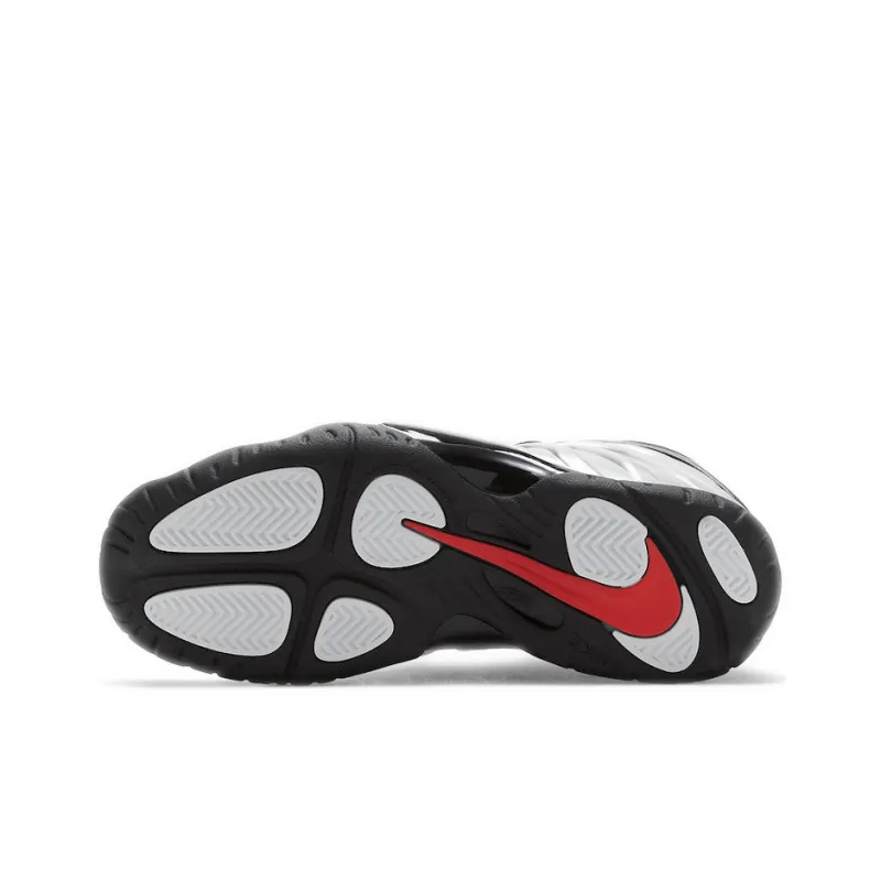 Nike Air Foamposite One Chrome Black GS-5
