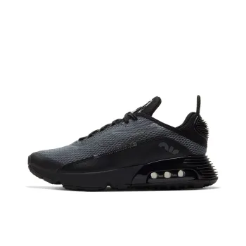 Nike Air Max 2090 Black Wolf Grey GS