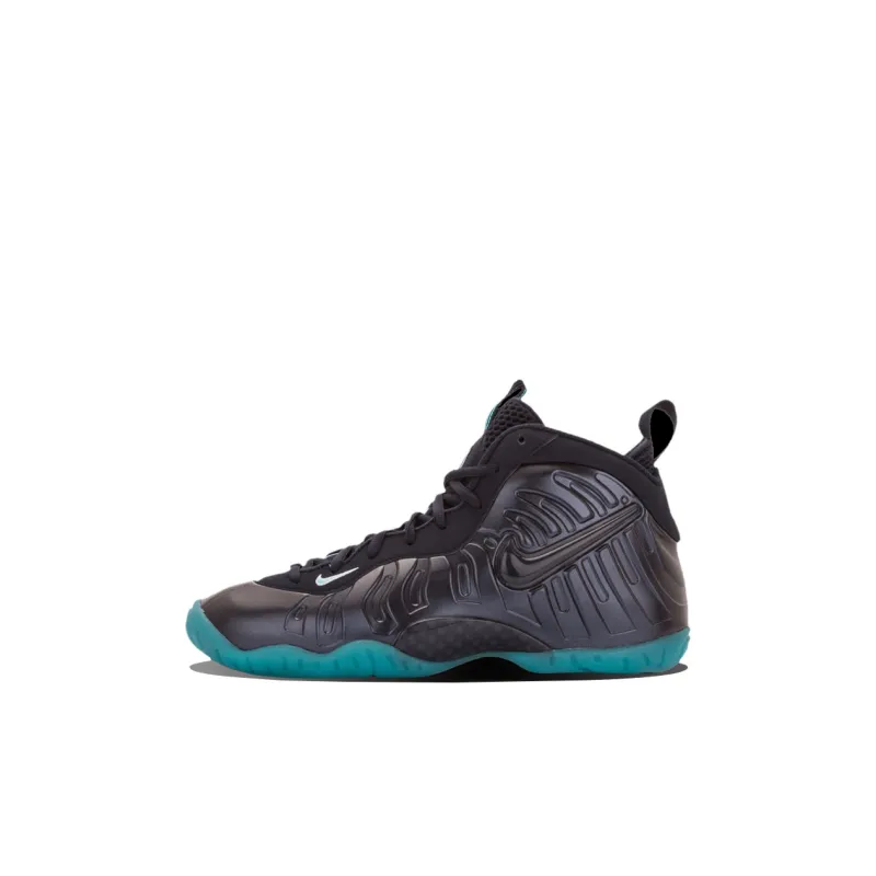 Nike Air Foamposite Pro Dark Obsidian GS-0