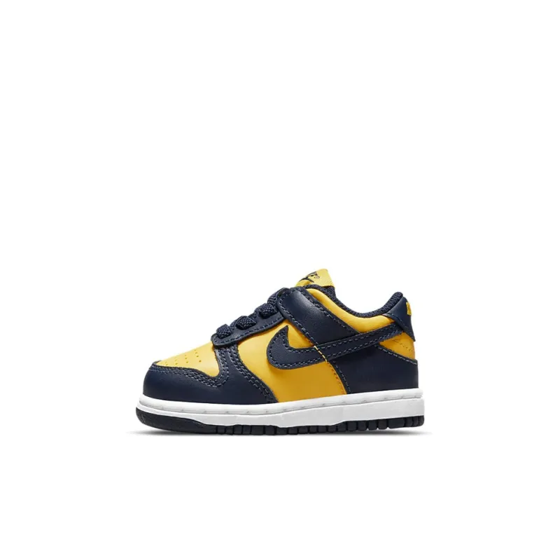 Nike Dunk Low Michigan 2021 TD-0