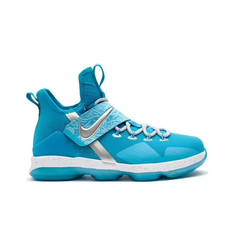 Nike LeBron 14 Ric Flair GS-1