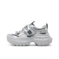 Silver Gray