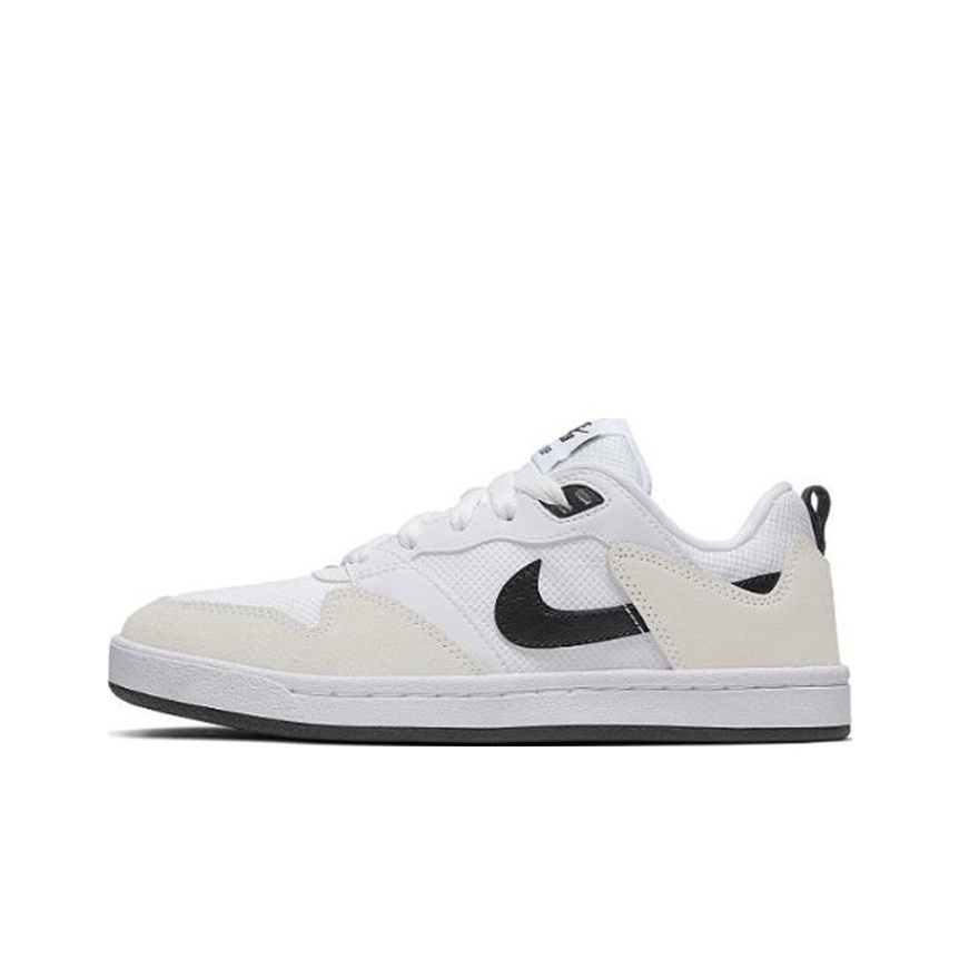 nike sb allyoops