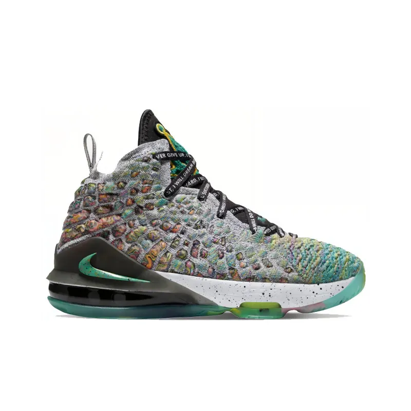Nike LeBron 17 I Promise GS-1
