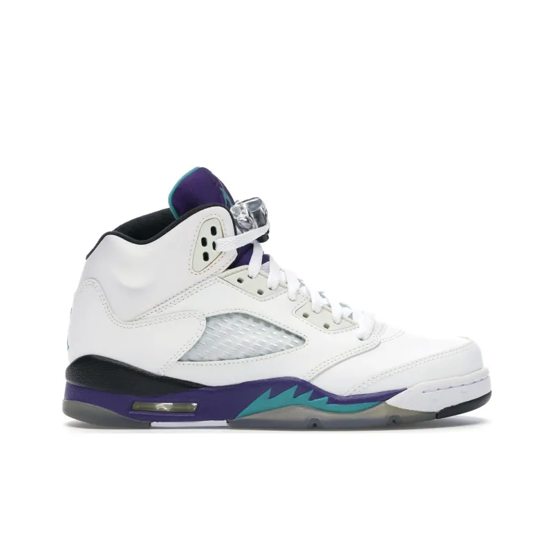 Jordan 5 Retro Grape 2013 GS-1