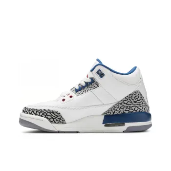 Jordan 3 Retro True Blue 2011 GS