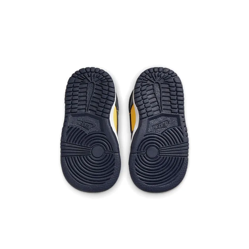 Nike Dunk Low Michigan 2021 TD-5