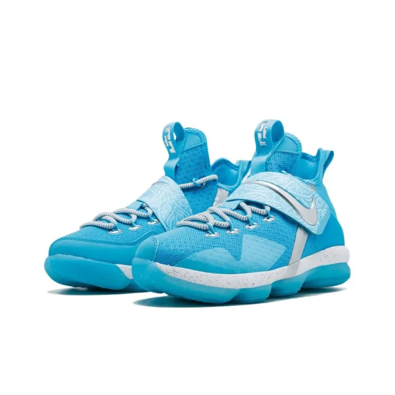 Nike LeBron 14 Ric Flair GS-2