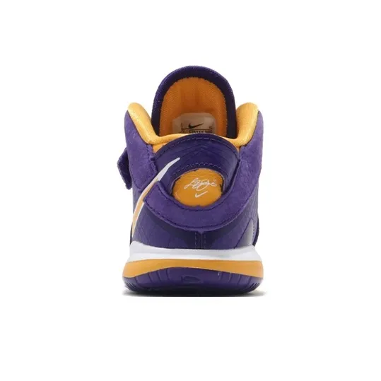 Nike LeBron 8 Lakers TD-2