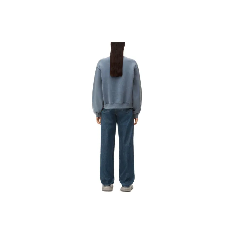 Alexander Wang Sweatshirt Women's Gray Blue-2