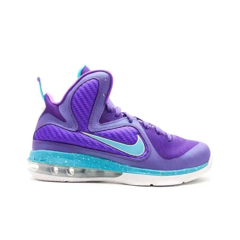 Nike LeBron 9 Summit Lake Hornets GS-1
