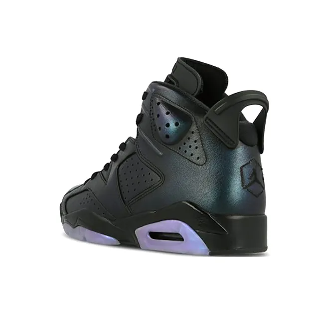 Jordan 6 Retro All-Star Chameleon 2017 GS-3