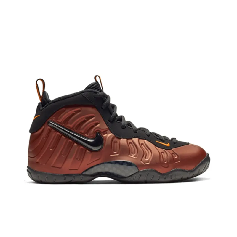 Nike Air Foamposite Pro Color Shift GS-1