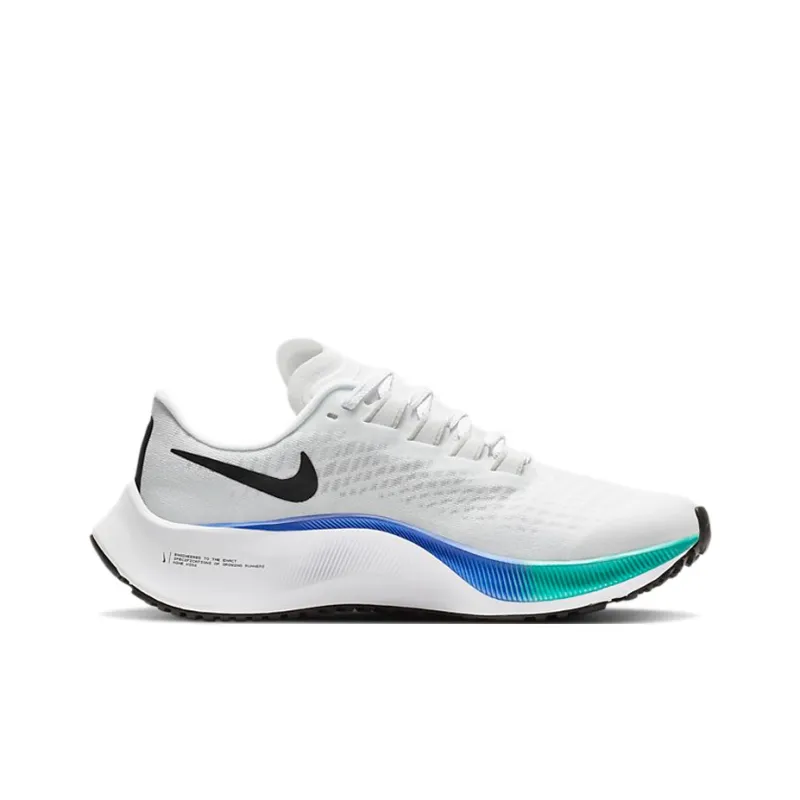 Nike Air Pegasus 37 Ombre GS-3