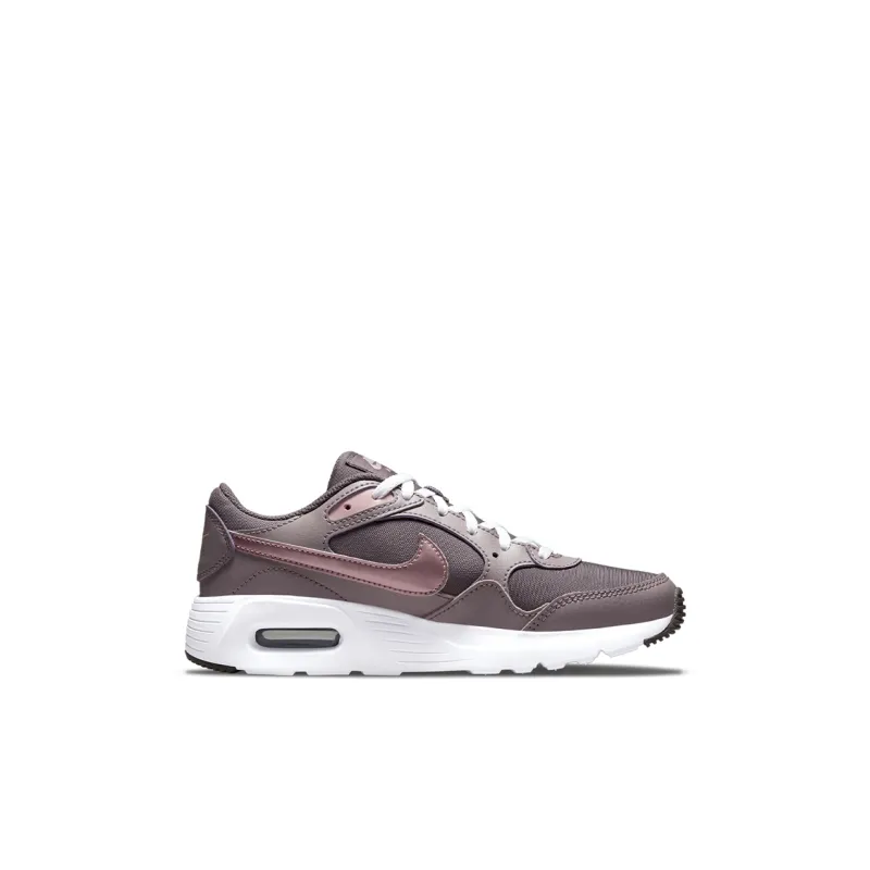 Nike Air Max SC 'Violet Ore' GS-1