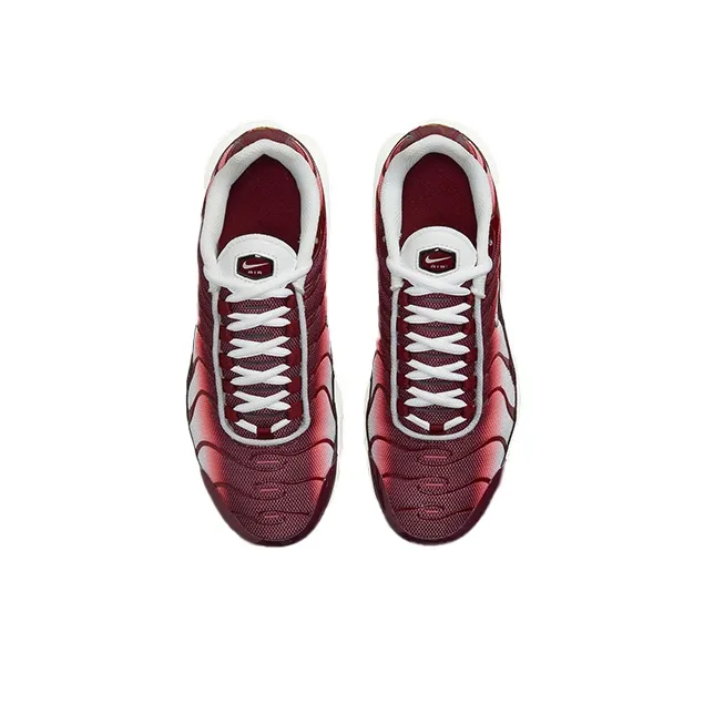 Nike Air Max Plus 'Dark Beetroot' GS-3