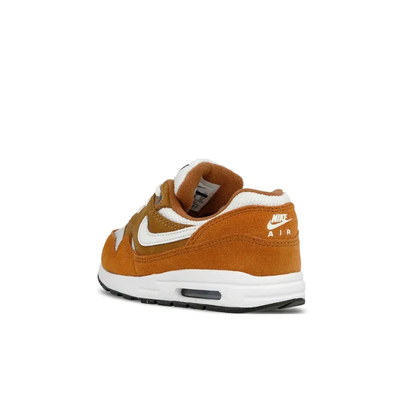 Nike Air Max 1 Curry 2018 TD-3