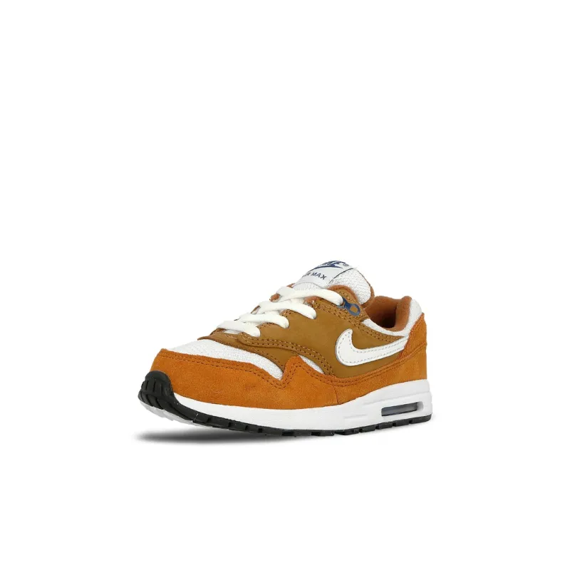 Nike Air Max 1 Curry 2018 TD-2