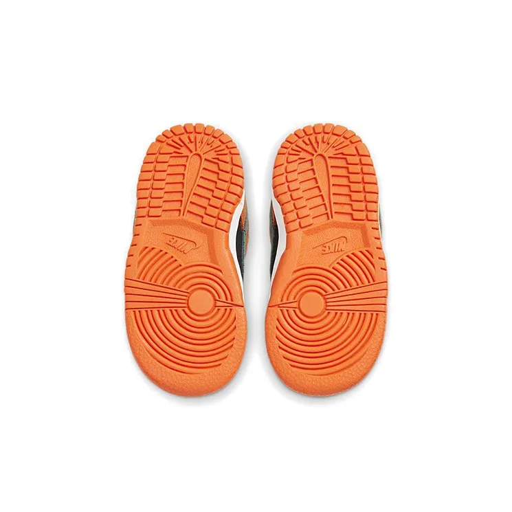 Nike Dunk Low Ceramic 2020 TD-5