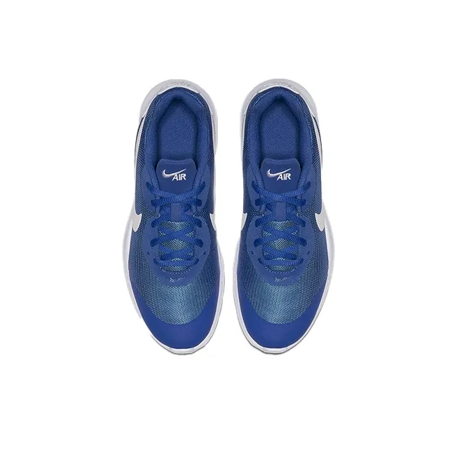 Nike Air Max Oketo Low Top Kids' Running Shoes Blue White Teenagers-3