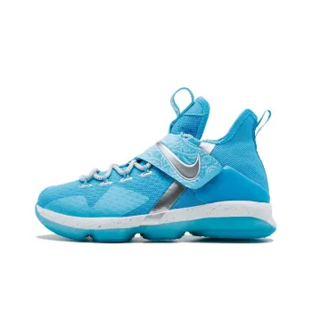 Nike LeBron 14 Ric Flair GS