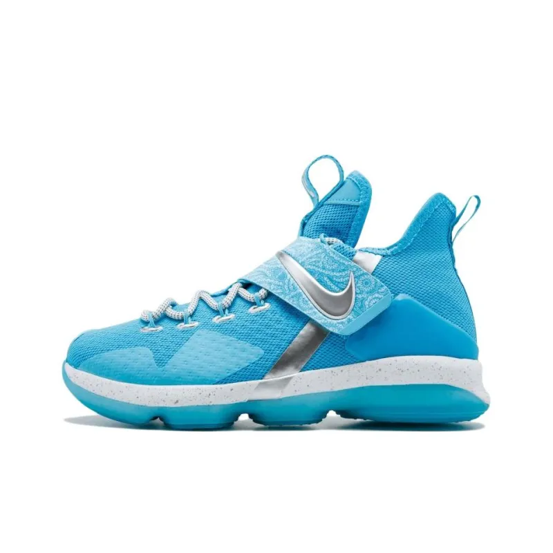 Nike LeBron 14 Ric Flair GS-0