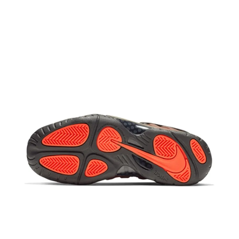 Nike Air Foamposite Pro Color Shift GS-4