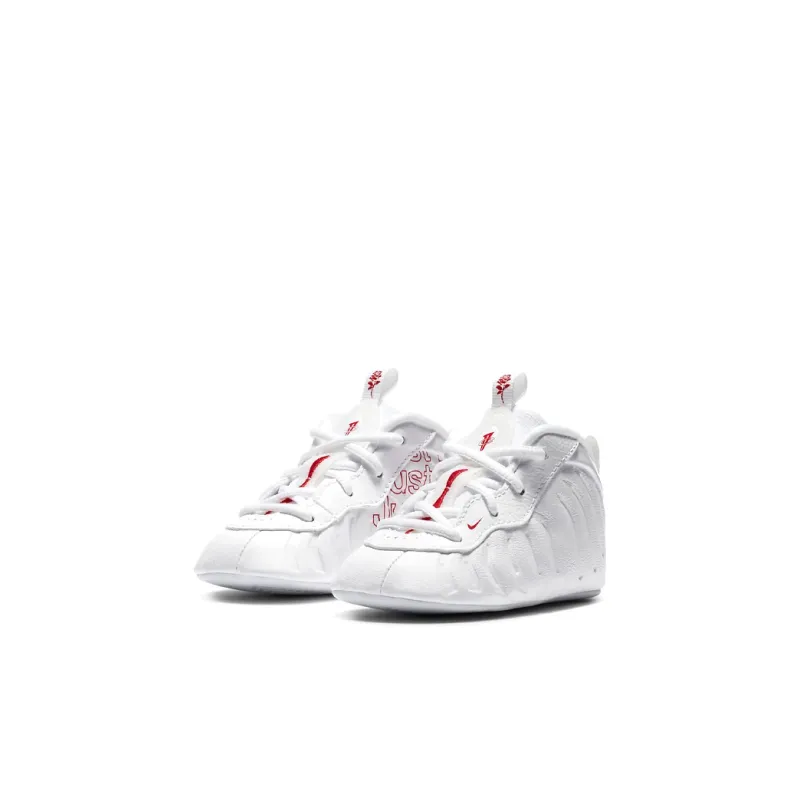 Nike Air Foamposite One Takeout Bag I-2