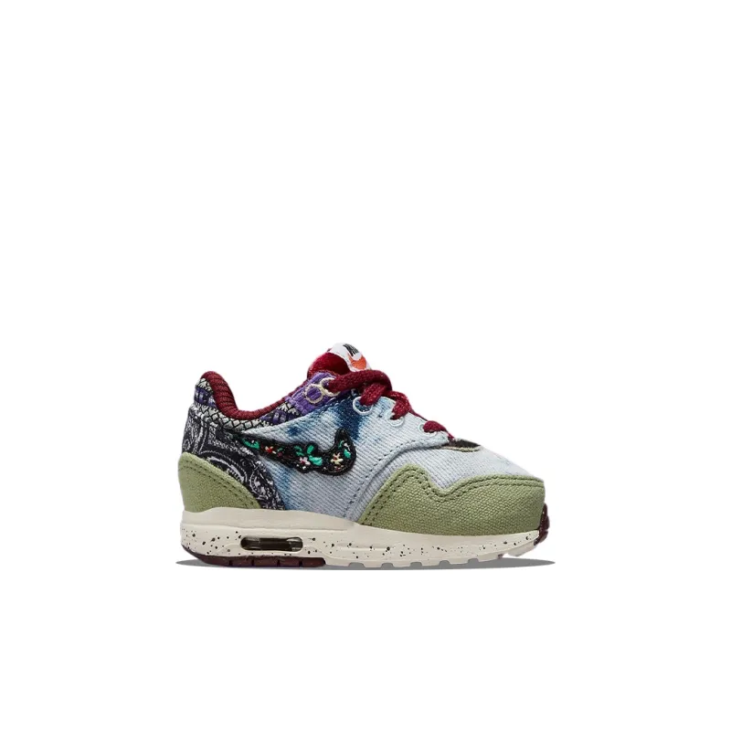 Nike Air Max 1 SP Concepts Mellow TD-1