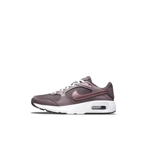 Nike Air Max SC 'Violet Ore' GS