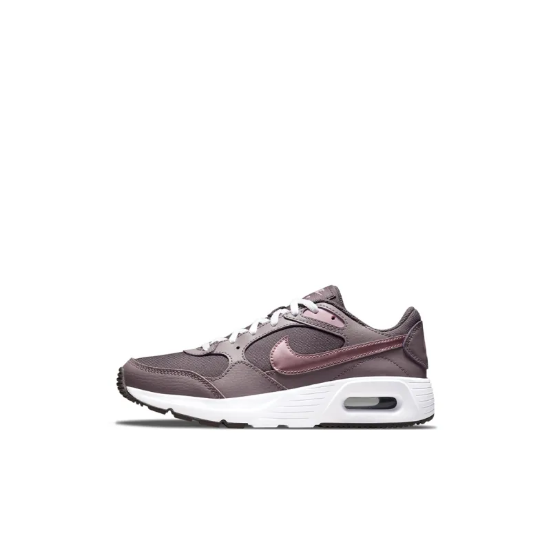Nike Air Max SC 'Violet Ore' GS-0