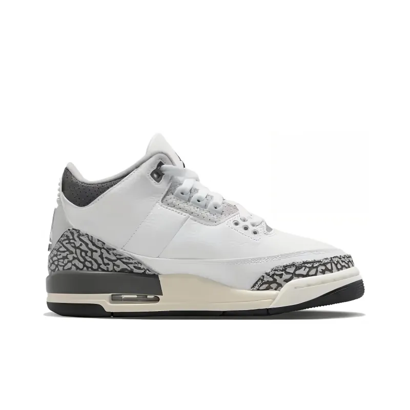 Jordan 3 Retro Hide N' Sneak GS-1