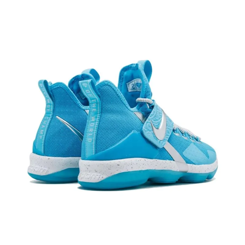 Nike LeBron 14 Ric Flair GS-3