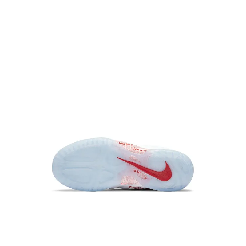 Nike Air Foamposite One Takeout Bag PS-5