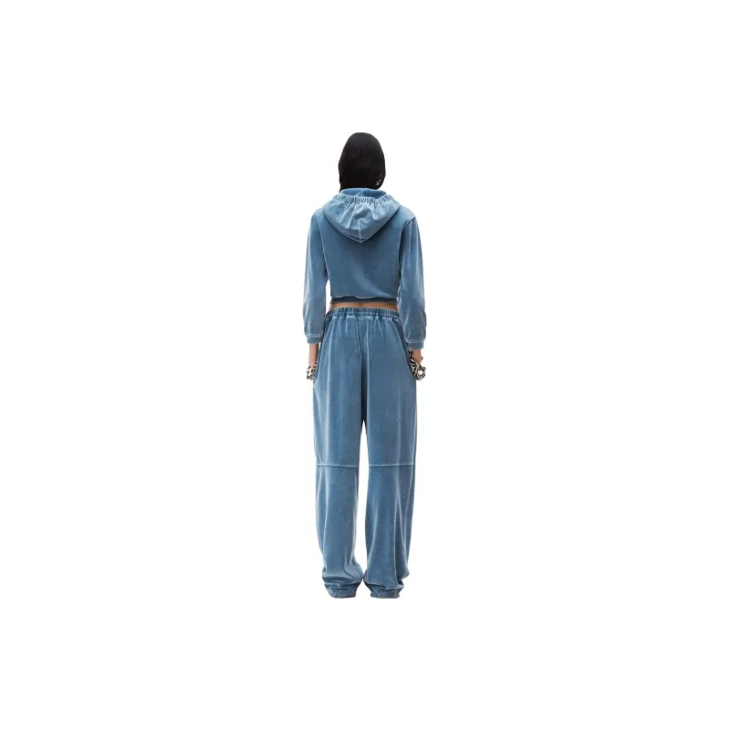 T By Alexander Wang Apple Logo Shrunken Zip Up Hoodie Washed Bluestone-2