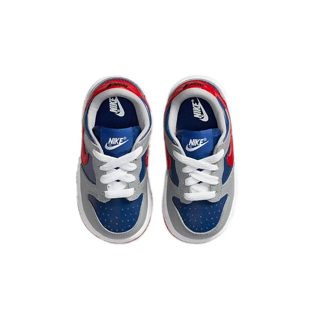 Nike Dunk Low Samba 2020 TD-3