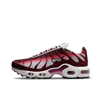 Nike Air Max Plus 'Dark Beetroot' GS