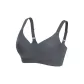 Meteorite Gray