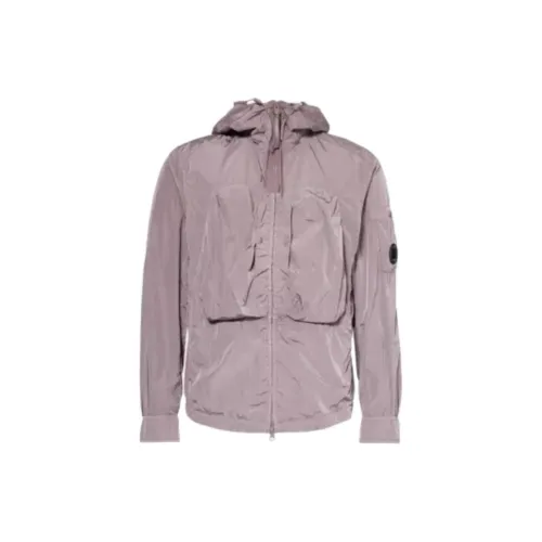 C.P.Company Jackets Men Purple Dove